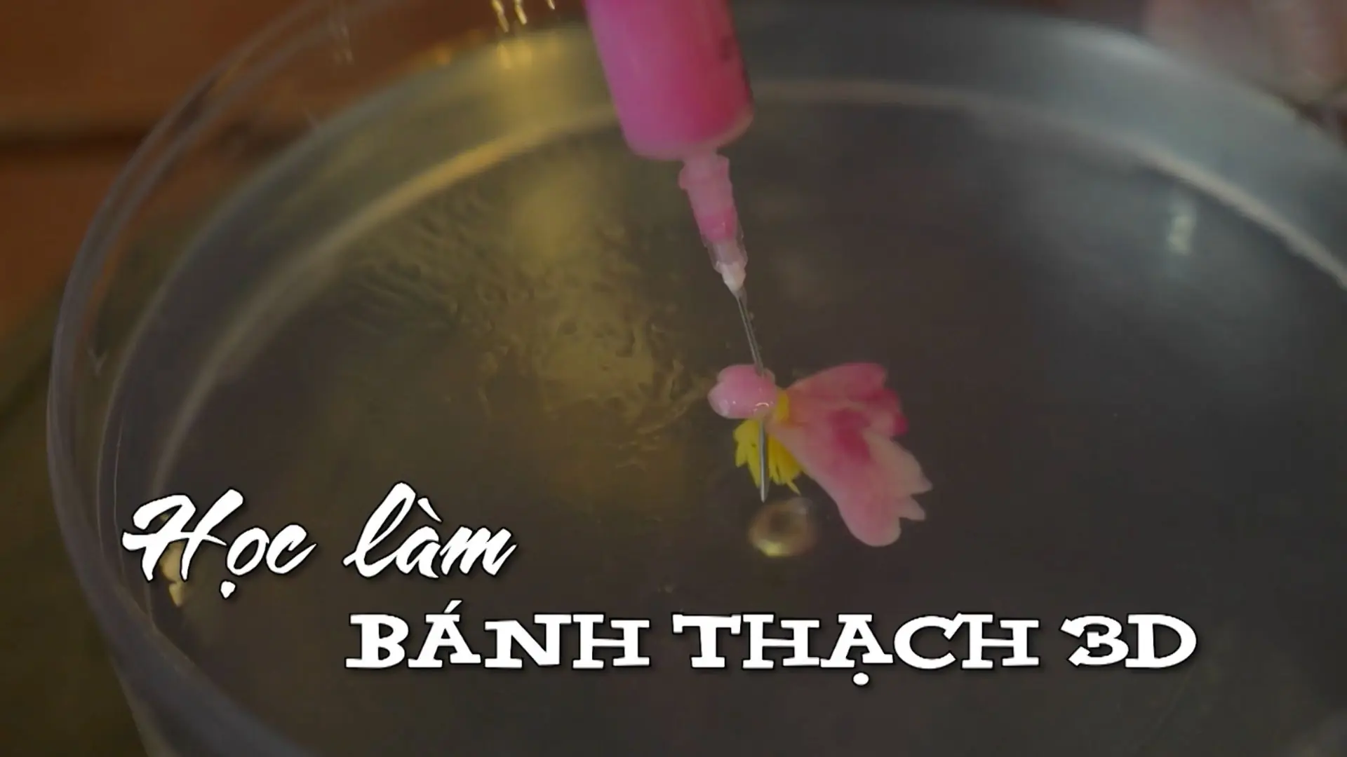Học làm bánh thạch 3D | Nhịp sống Hà Nội | 30/09/2025
